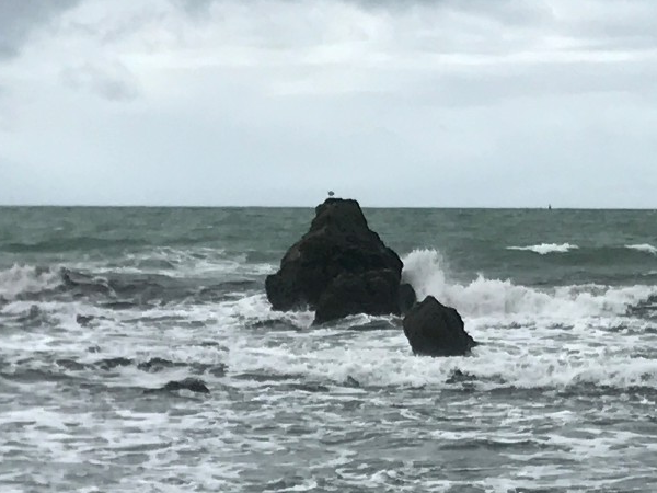Waves Surrounding Rock